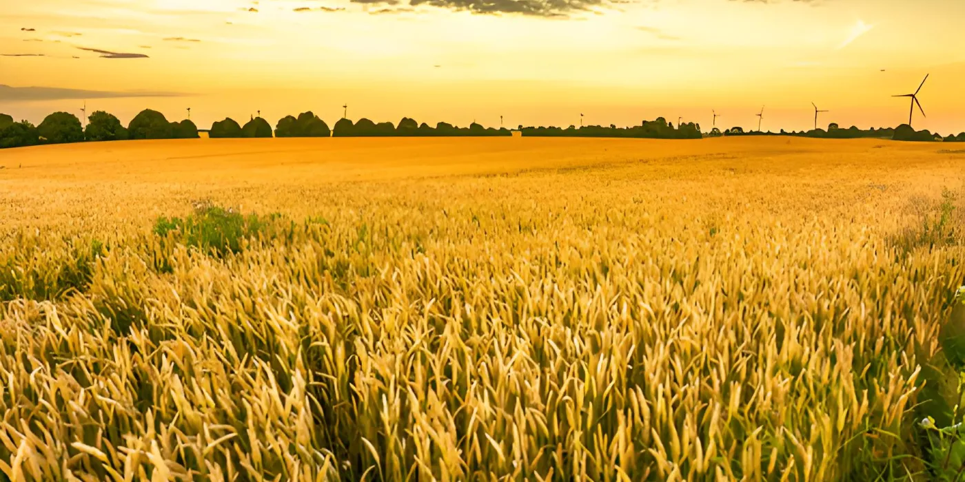 Agricultura