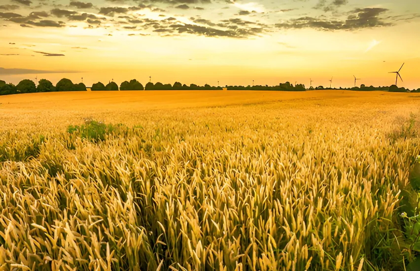 Agricultura